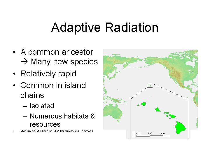 Adaptive Radiation • A common ancestor Many new species • Relatively rapid • Common