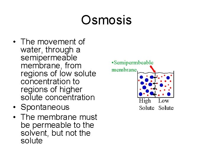 Osmosis • The movement of water, through a semipermeable membrane, from regions of low