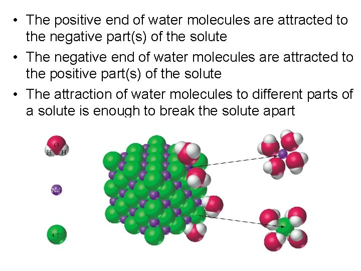  • The positive end of water molecules are attracted to the negative part(s)