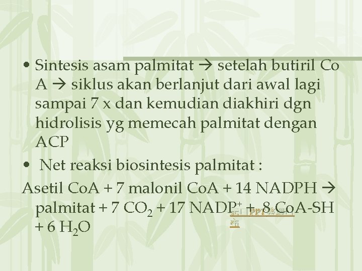  • Sintesis asam palmitat setelah butiril Co A siklus akan berlanjut dari awal