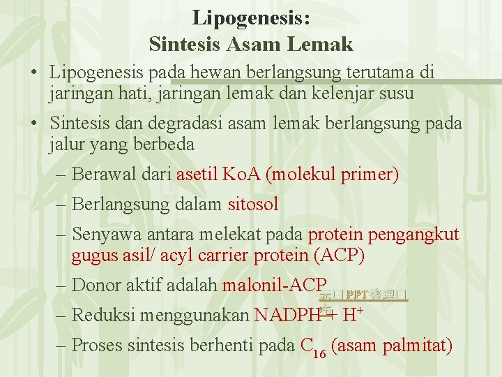 Lipogenesis: Sintesis Asam Lemak • Lipogenesis pada hewan berlangsung terutama di jaringan hati, jaringan