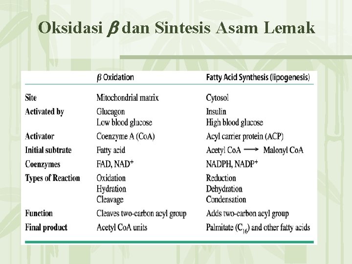 Oksidasi dan Sintesis Asam Lemak 无� PPT整理� 布 