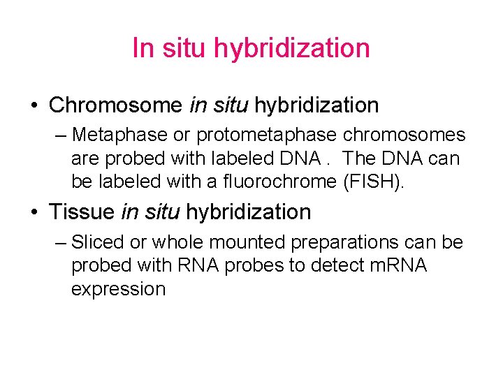 In situ hybridization • Chromosome in situ hybridization – Metaphase or protometaphase chromosomes are