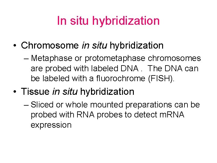 In situ hybridization • Chromosome in situ hybridization – Metaphase or protometaphase chromosomes are