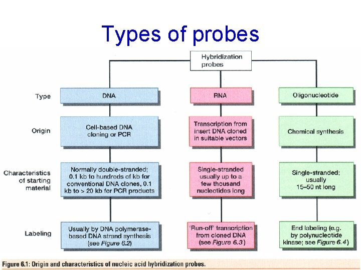 Types of probes 