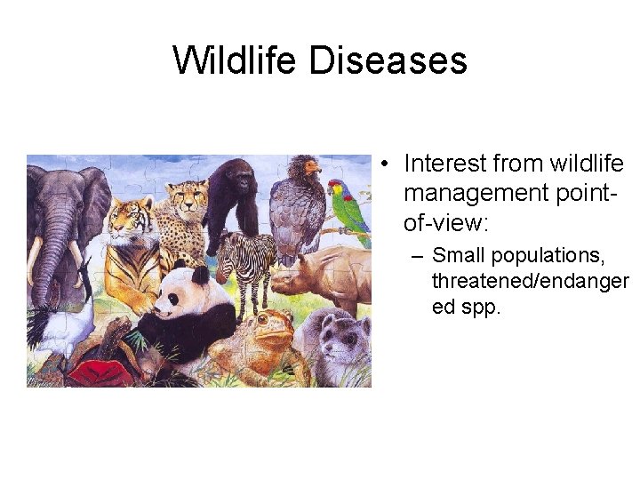 Wildlife Diseases • Interest from wildlife management pointof-view: – Small populations, threatened/endanger ed spp.