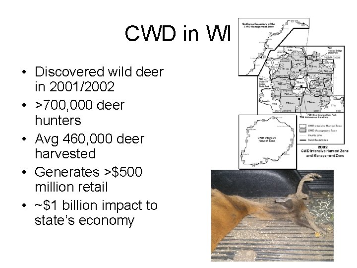 CWD in WI • Discovered wild deer in 2001/2002 • >700, 000 deer hunters