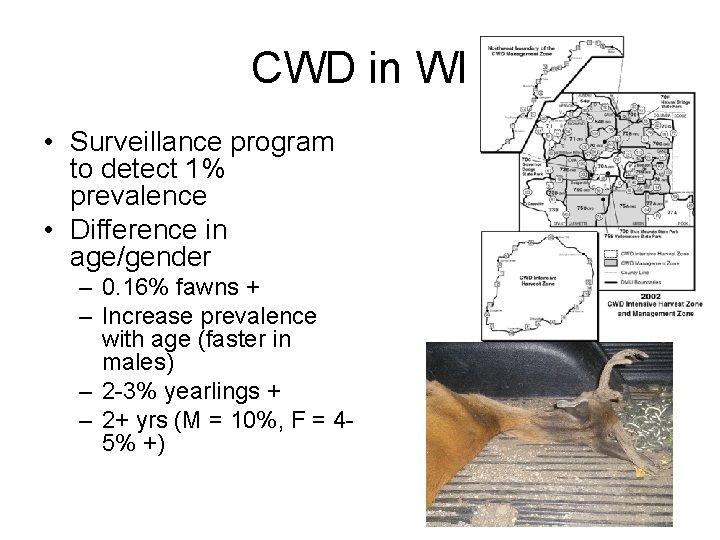CWD in WI • Surveillance program to detect 1% prevalence • Difference in age/gender