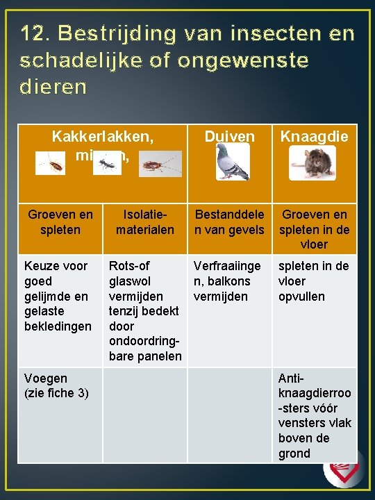 12. Bestrijding van insecten en schadelijke of ongewenste dieren Kakkerlakken, mieren, Groeven en spleten