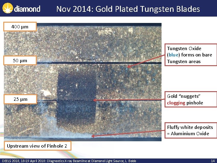 Nov 2014: Gold Plated Tungsten Blades 400 µm 50 µm 25 µm Tungsten Oxide