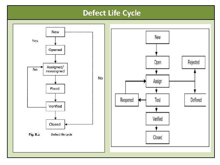  Defect Life Cycle 