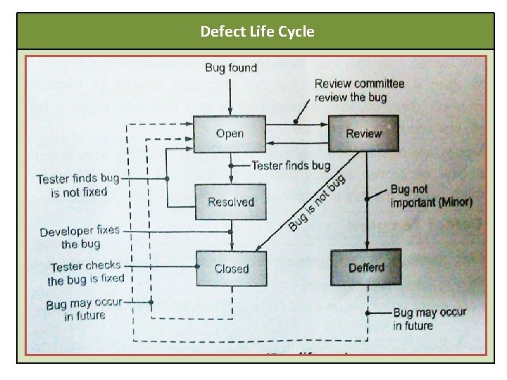  Defect Life Cycle 