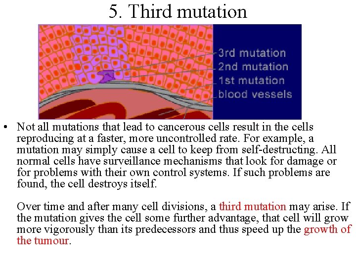 5. Third mutation • Not all mutations that lead to cancerous cells result in