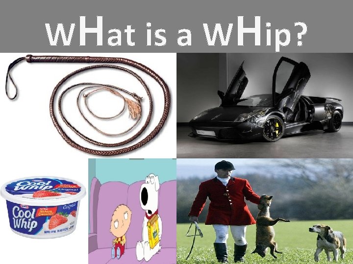 WHat is a WHip? 