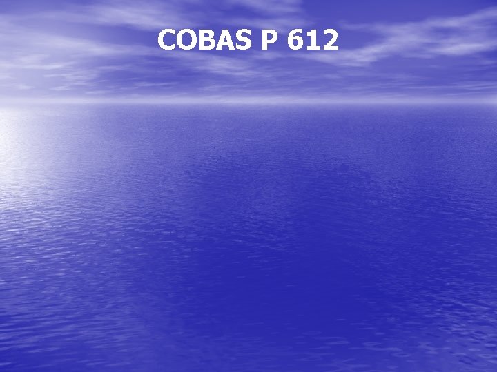 COBAS P 612 