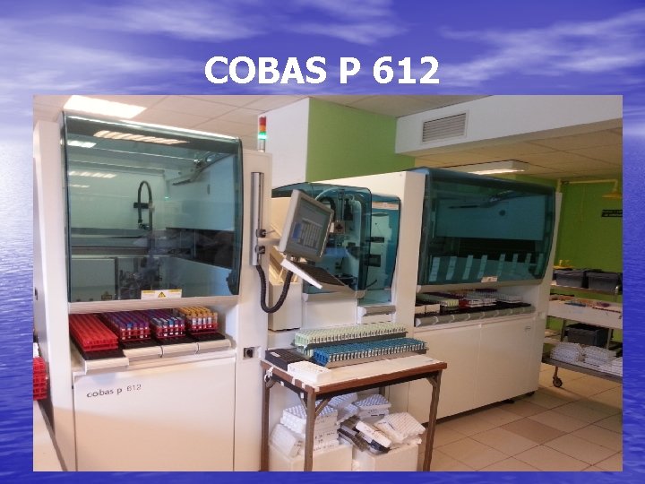 COBAS P 612 