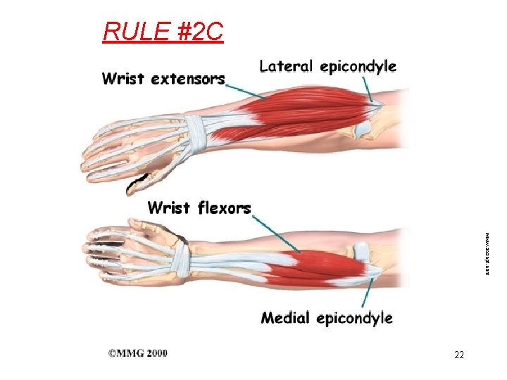 RULE #2 C www. acacpt. com 22 