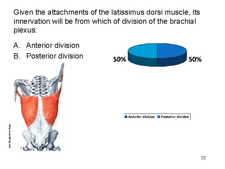 Given the attachments of the latissimus dorsi muscle, its innervation will be from which