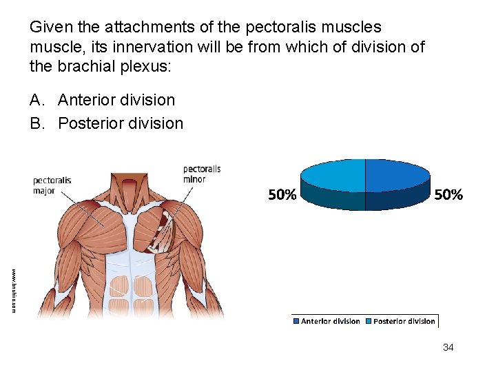Given the attachments of the pectoralis muscle, its innervation will be from which of