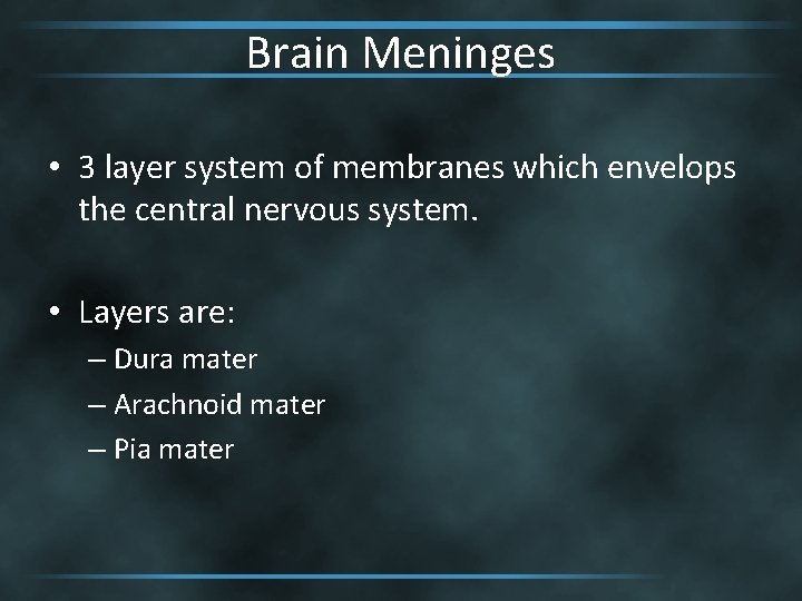 Brain Meninges • 3 layer system of membranes which envelops the central nervous system.
