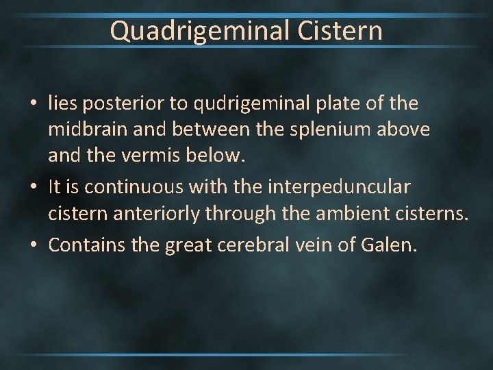 Quadrigeminal Cistern • lies posterior to qudrigeminal plate of the midbrain and between the