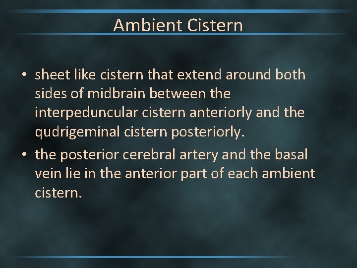 Ambient Cistern • sheet like cistern that extend around both sides of midbrain between