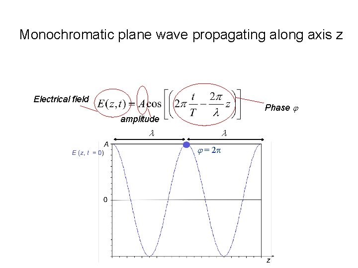 Monochromatic plane wave propagating along axis z Electrical field Phase j amplitude l l