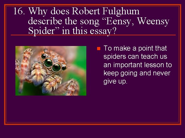 16. Why does Robert Fulghum describe the song “Eensy, Weensy Spider” in this essay?