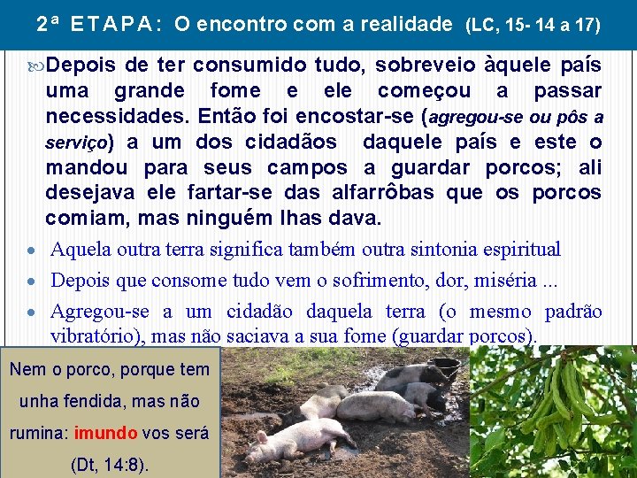 2 ª E T A P A : O encontro com a realidade (LC,