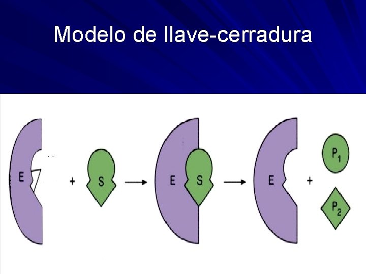 Modelo de llave-cerradura 