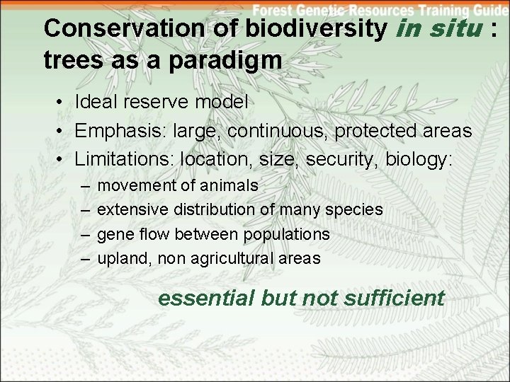 Conservation of biodiversity in situ : trees as a paradigm • Ideal reserve model