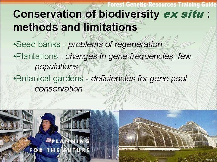 Conservation of biodiversity ex situ : methods and limitations • Seed banks - problems