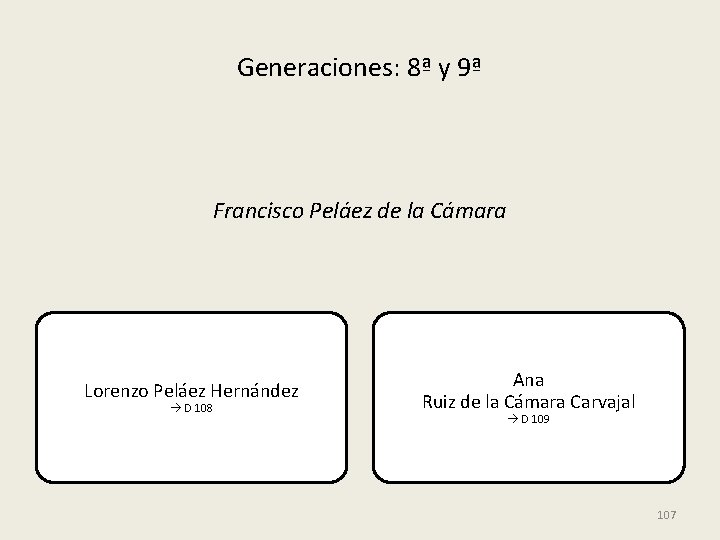 Generaciones: 8ª y 9ª Francisco Peláez de la Cámara Lorenzo Peláez Hernández D 108