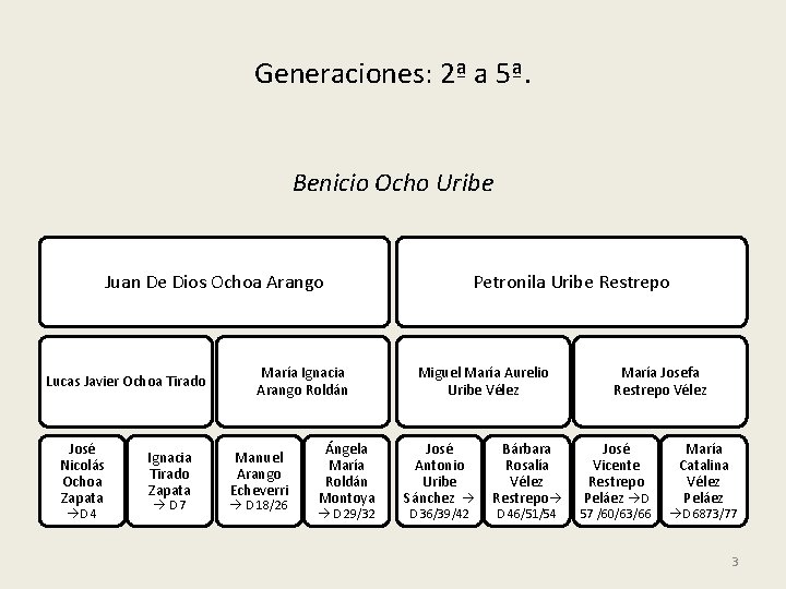 Generaciones: 2ª a 5ª. Benicio Ocho Uribe Juan De Dios Ochoa Arango Lucas Javier