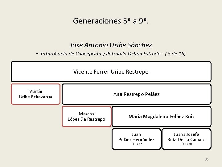 Generaciones 5ª a 9ª. José Antonio Uribe Sánchez - Tatarabuelo de Concepción y Petronila
