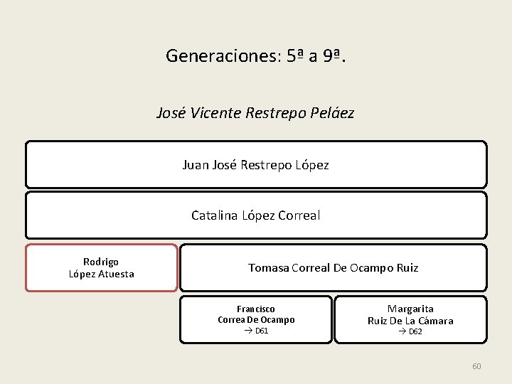 Generaciones: 5ª a 9ª. José Vicente Restrepo Peláez Juan José Restrepo López Catalina López