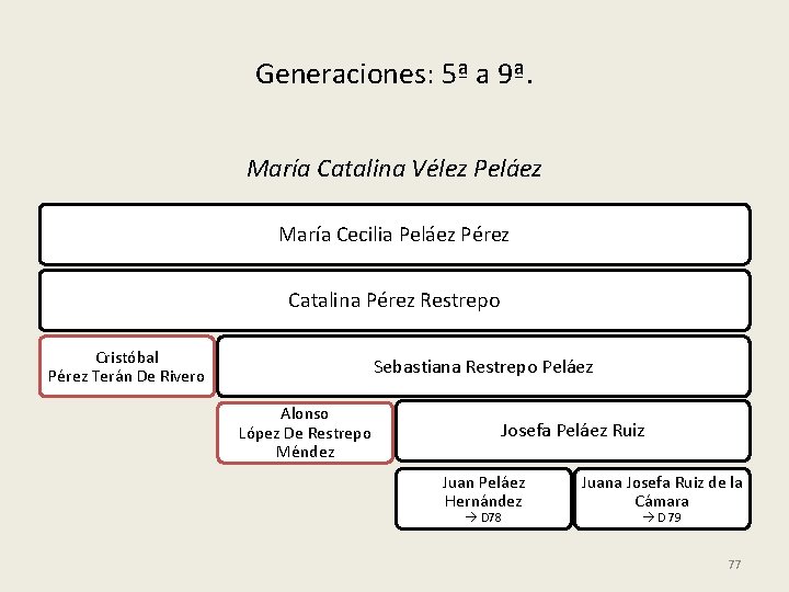 Generaciones: 5ª a 9ª. María Catalina Vélez Peláez María Cecilia Peláez Pérez Catalina Pérez