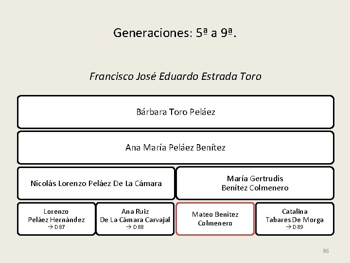 Generaciones: 5ª a 9ª. Francisco José Eduardo Estrada Toro Bárbara Toro Peláez Ana María