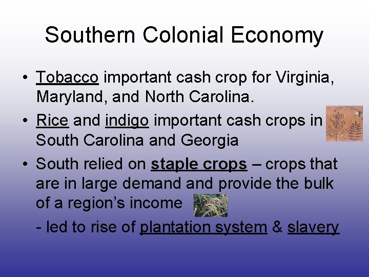 Southern Colonial Economy • Tobacco important cash crop for Virginia, Maryland, and North Carolina.