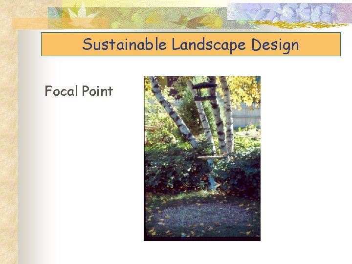 Sustainable Landscape Design Focal Point 