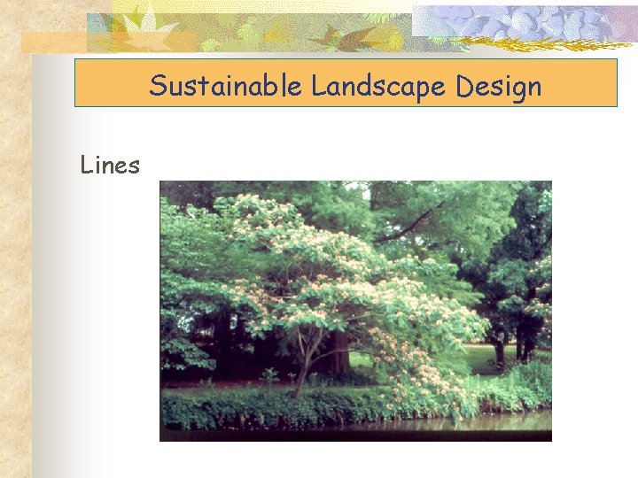 Sustainable Landscape Design Lines 