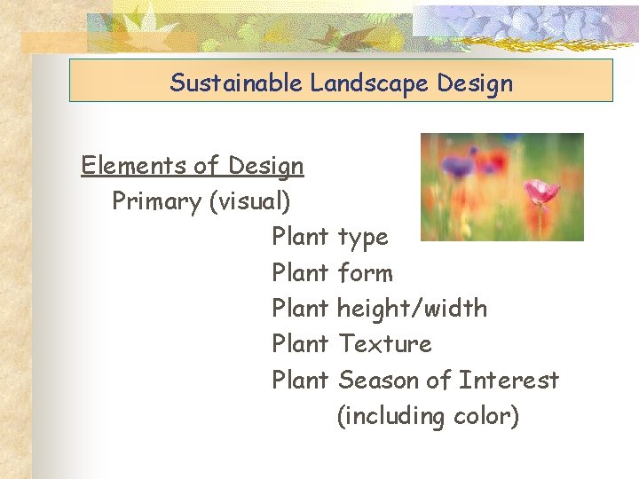 Sustainable Landscape Design Elements of Design Primary (visual) Plant type Plant form Plant height/width