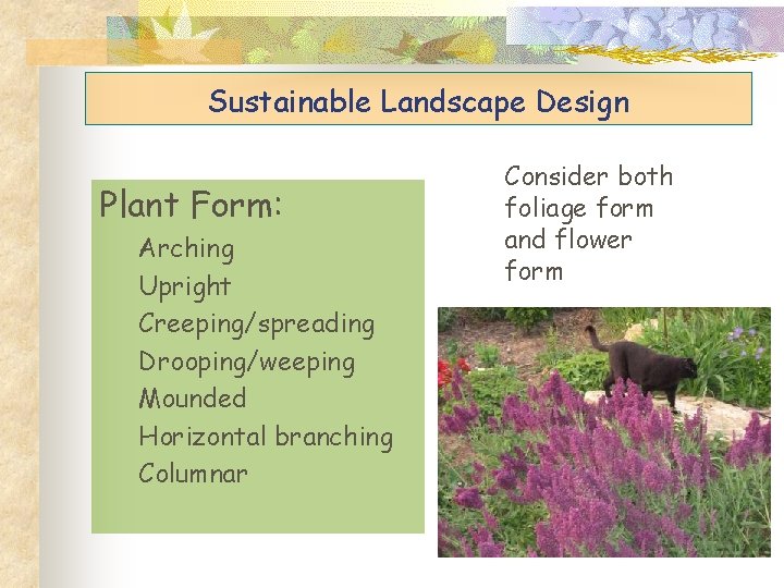 Sustainable Landscape Design Plant Form: Arching Upright Creeping/spreading Drooping/weeping Mounded Horizontal branching Columnar Consider