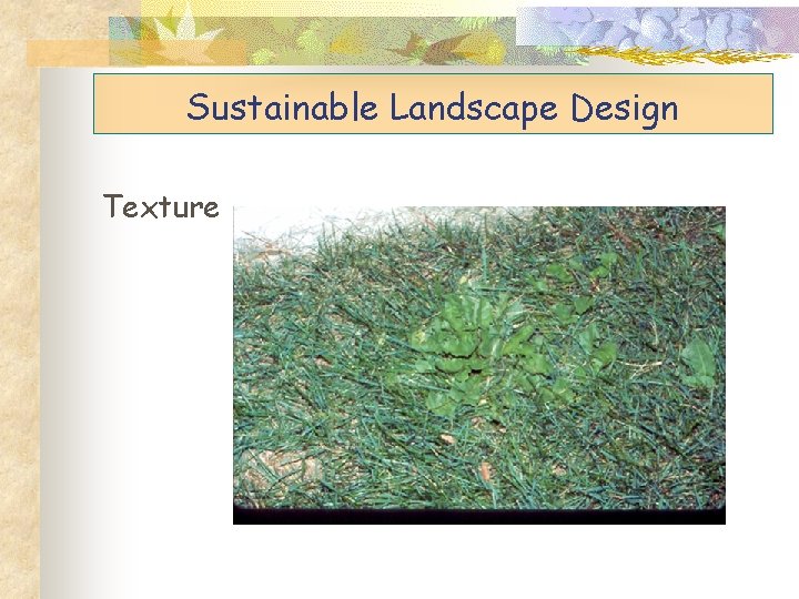 Sustainable Landscape Design Texture 