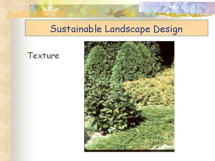 Sustainable Landscape Design Texture 
