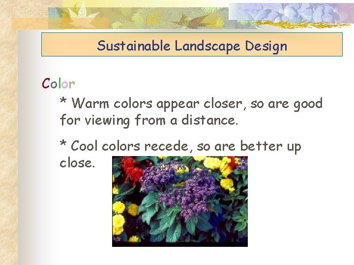 Sustainable Landscape Design Color * Warm colors appear closer, so are good for viewing