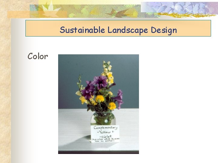 Sustainable Landscape Design Color 