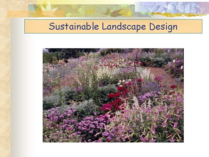 Sustainable Landscape Design 