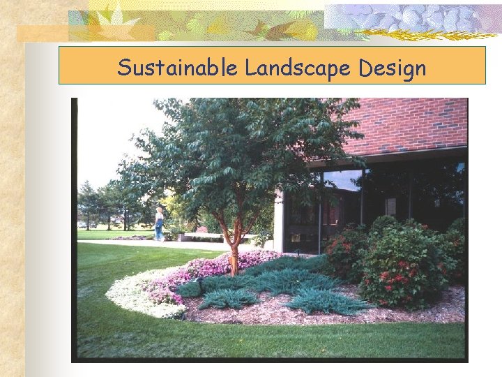 Sustainable Landscape Design 