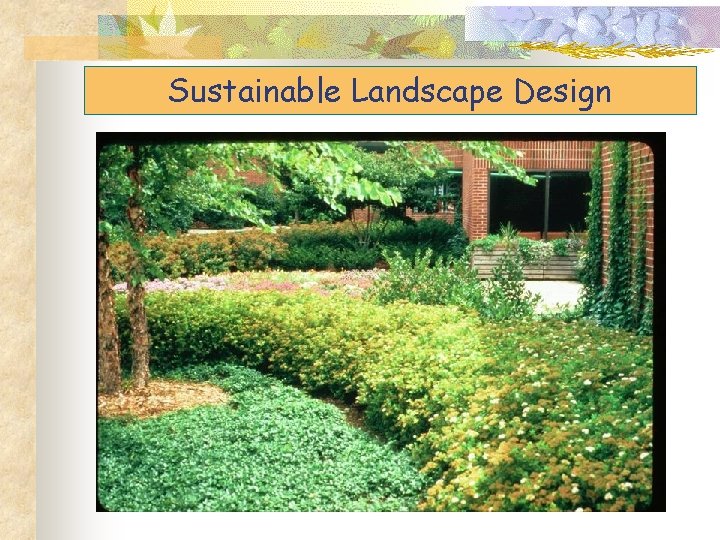 Sustainable Landscape Design 